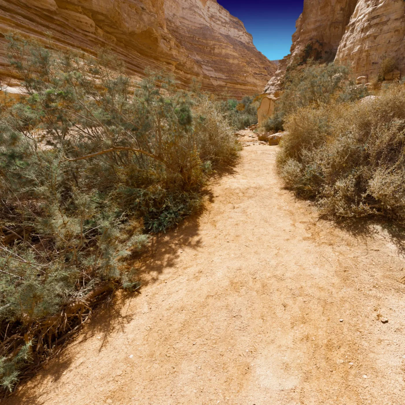 A sandy path through a narrow desert canyon.